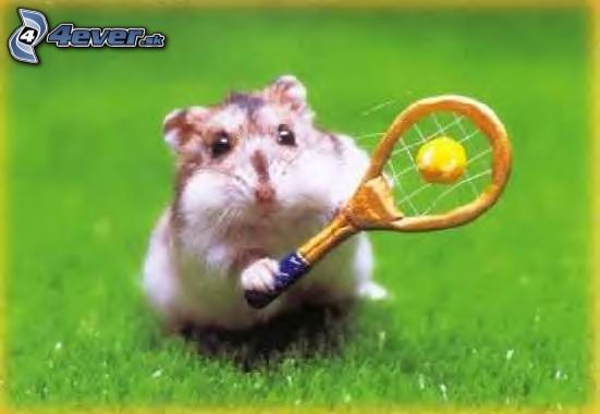 hrajem tenis